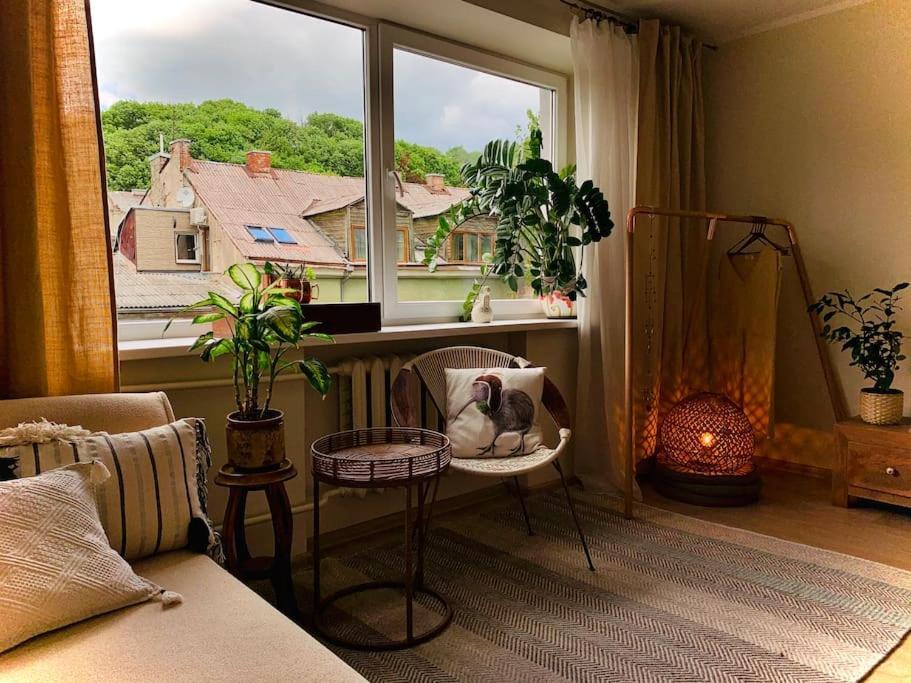 Three Bedroom With Two Terraces For 7People+Baby Kaunas Dış mekan fotoğraf