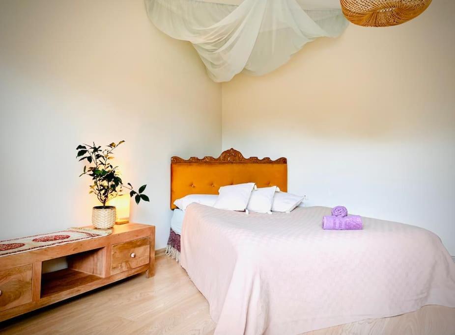Three Bedroom With Two Terraces For 7People+Baby Kaunas Dış mekan fotoğraf