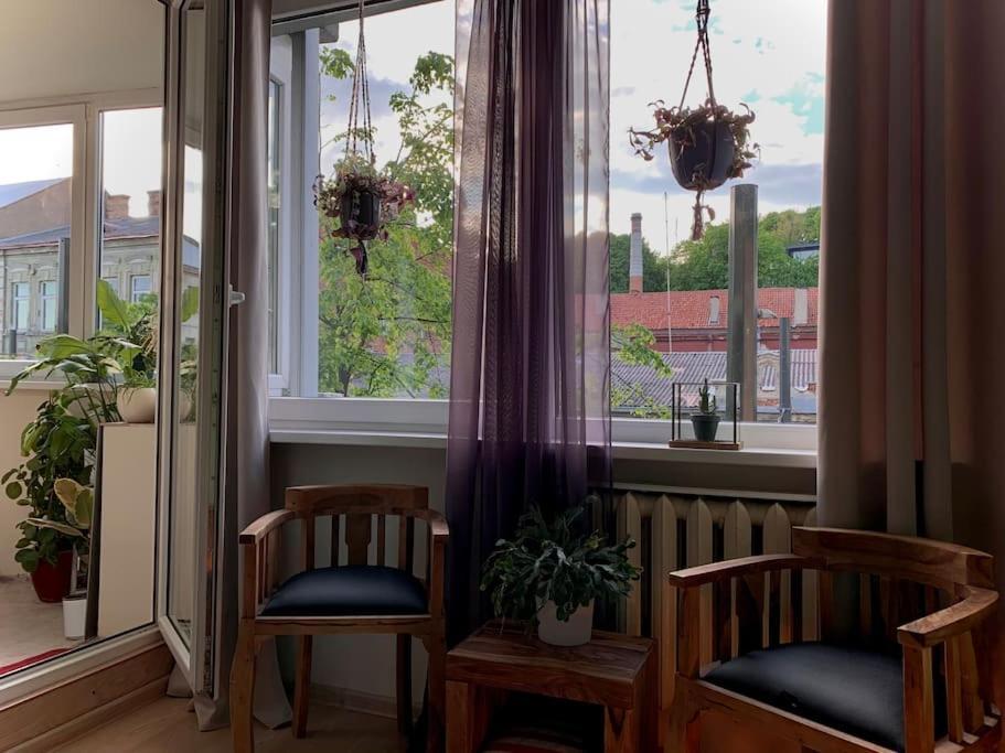 Three Bedroom With Two Terraces For 7People+Baby Kaunas Dış mekan fotoğraf