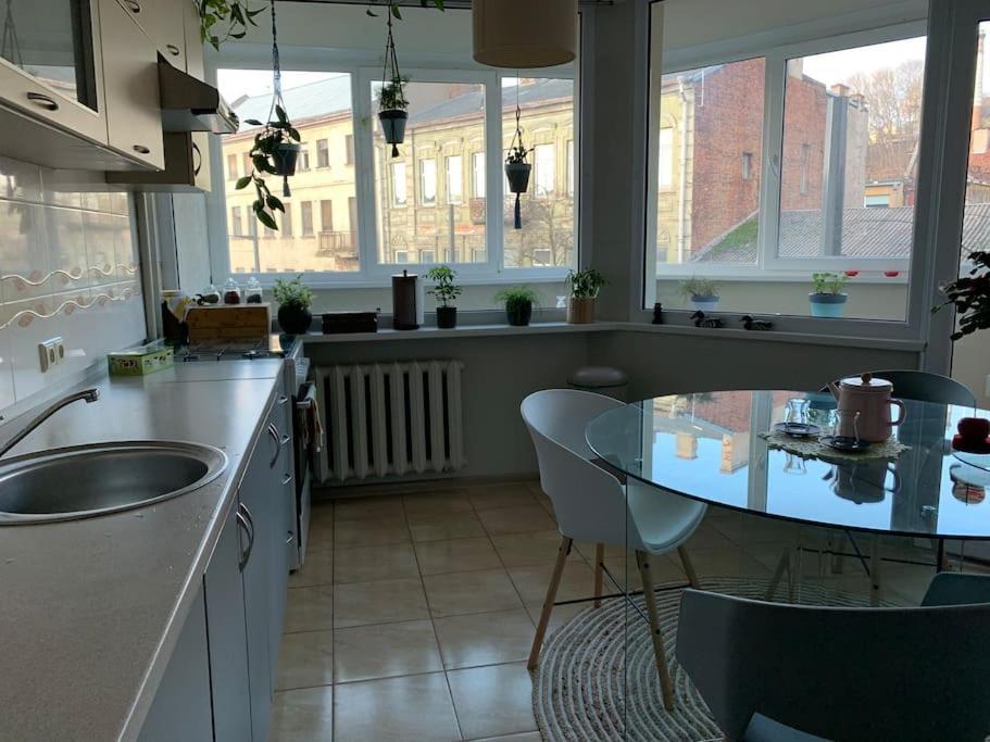 Three Bedroom With Two Terraces For 7People+Baby Kaunas Dış mekan fotoğraf